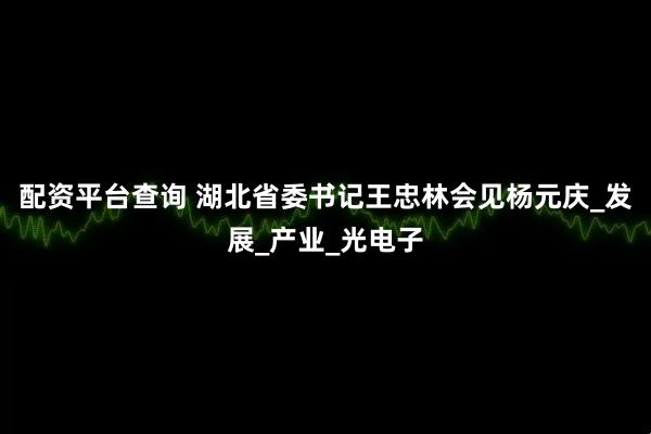 配资平台查询 湖北省委书记王忠林会见杨元庆_发展_产业_光电子