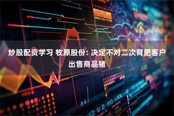 炒股配资学习 牧原股份: 决定不对二次育肥客户出售商品猪